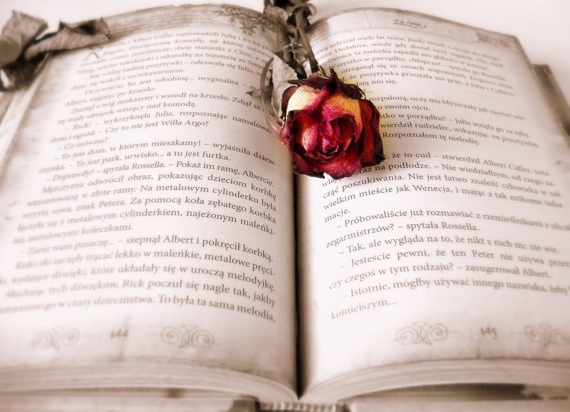 Mysterious Book